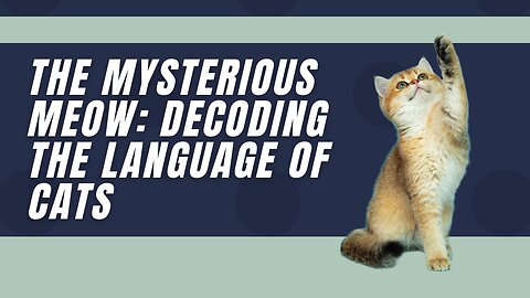 The Mysterious Meow : Decoding the Language