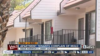 Apartment tenants complain of mold