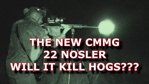 CMMG 22 NOSLER WILL IT KILL WILD HOGS???