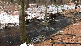 Beautiful winter stream