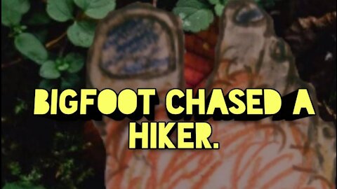 BIGFOOT CHASED A HIKER