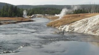 View of the Firehole River in Yellowstone