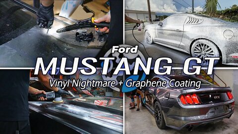 Mustang GT | Graphene Coating a UV Damaged Vinyl Mustang | Nightmare Detail Turned SICK!! SO GLOSSY!