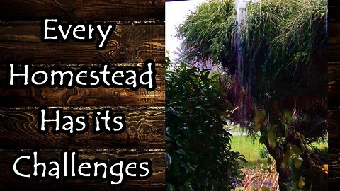 Every Homestead Has Its Challenges