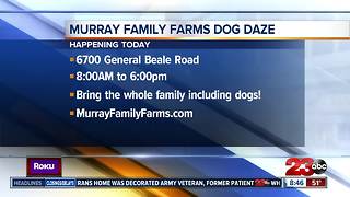 Annual Dog Days event held at Murray Family Farms