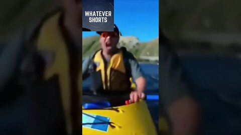 Kayaker gets slapped with an octopus by a seal #shorts #funny #animals #sea #wildlife