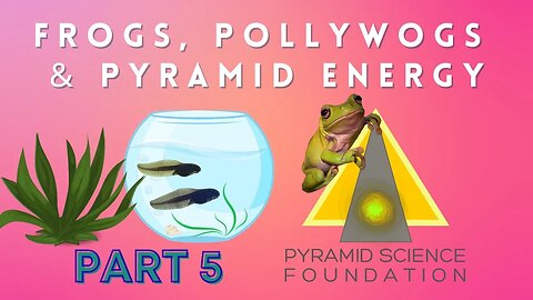 Frogs, Pollywogs, Plants & Pyramid Power Experiment PART 5