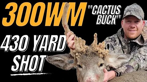 430 Yard Shot!!! - 30 Point "Cactus Buck" Mule Deer!!!