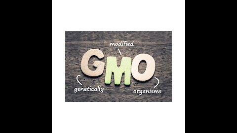 What to do about GMO's!