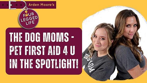 In the Spotlight - Pet First Aid 4 U!