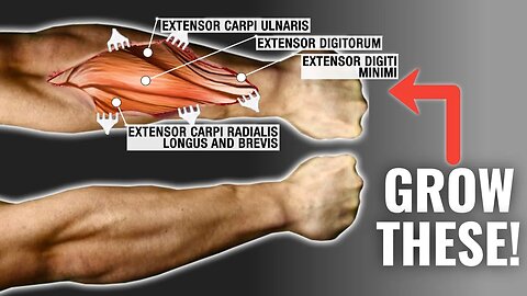 How To Get Bigger Forearms FAST (3 Science-Based Tips)