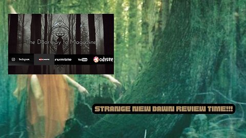 Svart - Strange New Dawn- New Nights of Euphoria- Video Review