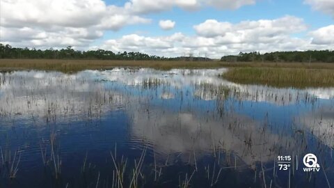 Protecting West Palm Beach water supply