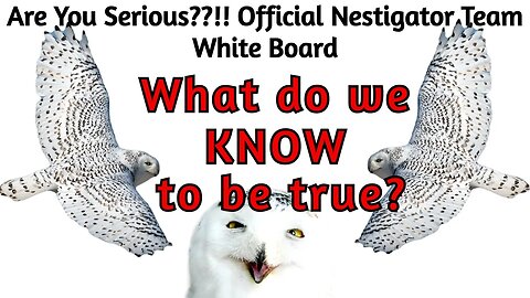 Part 1 - Nestigators! Let's List the FACTS That We KNOW to be True on the AYS Whiteboard!