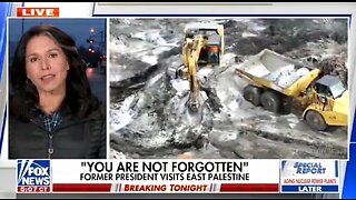 Tulsi Gabbard: Biden Administration Failed East Palestine