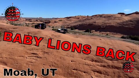 WE MADE IT TO MOAB During the COVID-19 Outbreak | Baby Lions Back | Porcupine Trail