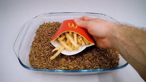 Mealworms McDONALD'S FRENCH FRIES