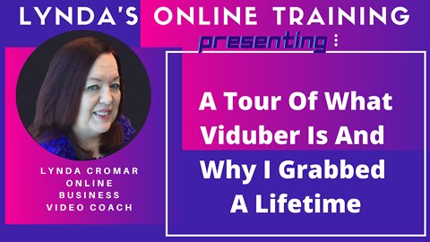 A Tour Of What Viduber Is And Why I Grabbed A Lifetime