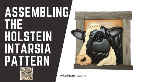 Assembling the Holstein Intarsia Pattern