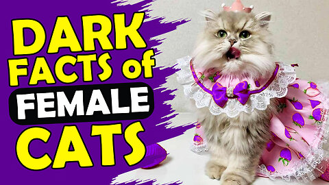 8 EYE-OPENING FACTS ABOUT FEMALE CATS