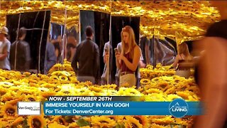 Van Gogh Immersion // DenverCenter.org