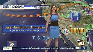 10News Pinpoint Weather with Meteorologist Megan Parry