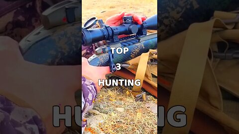 Top 3 Hunting Rifles Under $3000