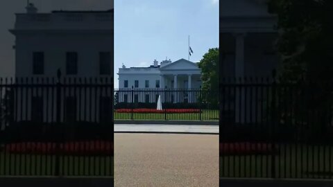9/9/22 Nancy Drew-Video 1(11:00am) WH Area- "You Are Not Planning on Climbing that Fence Are You"