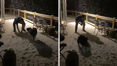 Pup's First Time In The Snow Will Melt Your Heart