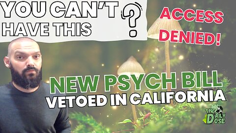 California And Psychedelics The News Explained