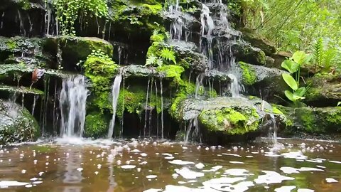 THE SINGING OF NATURE - Ambient Nature Relaxation - SOUND TO RELIEVE STRESS