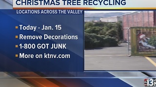 Christmas tree recycling begins annual push in Vegas area