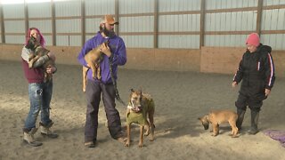 Hiatus Ranch K-9 Program