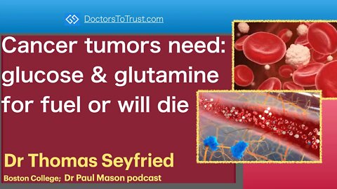 TOM SEYFRIED 2 | Cancer tumors need: glucose & glutamine for fuel or will die