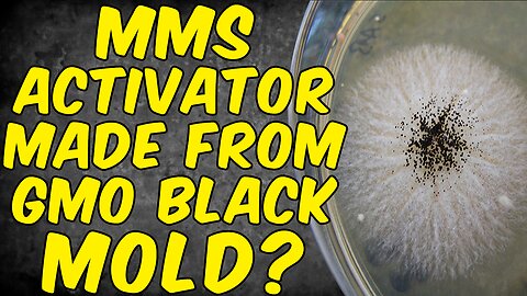 Is Your MMS (Miracle Mineral Solution) Activator Made From GMO BLACK MOLD?