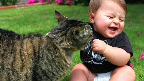 Funny cats and happy babies