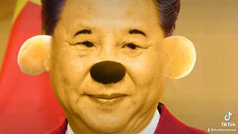 Xi Jinping Winnie the Pooh