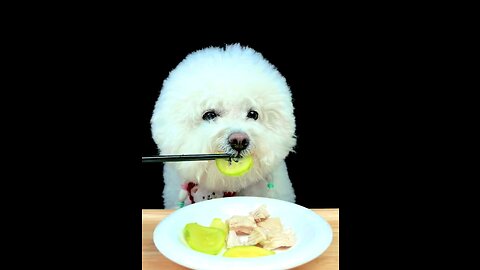 This dog is eating like a human😱😱😱😱