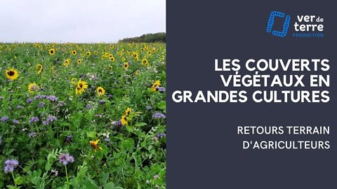 La Galerie du VDT - 3/7 - Les couvert végétaux en grandes cultures : Retours terrain d'agriculteurs