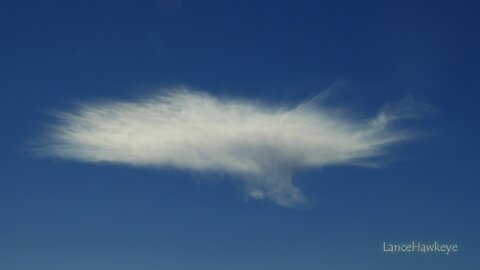 Crazy Cloud Cam | Image Set 186 | Hatch 002