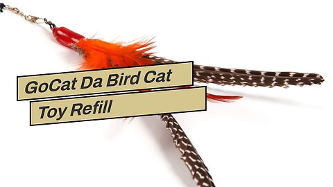 GoCat Da Bird Cat Toy Refill Accessories, Handmade in the USA, Sparkler