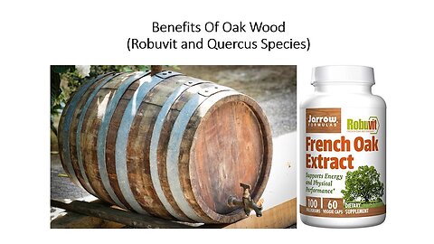 Oak Wood - Robuvit Extract for Energy & Chronic Fatigue