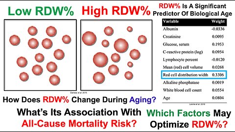 RDW Is A Significant Predictor Of Biological Age: Which Factors May Optimize It?