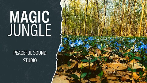 Jungle Magic Sounds Recorded During The Day