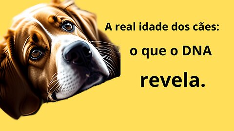 A real idade dos cães: o que o DNA revela.