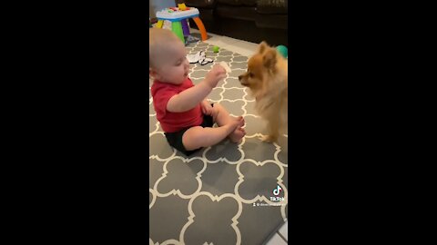 Puppy and Adorable Baby Share a Snack