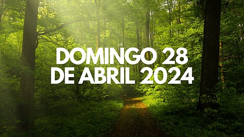 Domingo 28 de Abril 2024