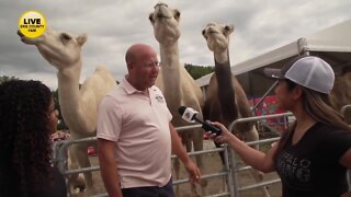 Monday at the Erie County Fair with Emily and Mercedes - Part 4