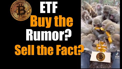 Is Blackrock's Bitcoin ETF Approval a Buy the Rumor, Sell the fact Scenario?
