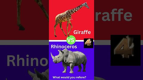 what would you prefer to? #shorts| Giraffe VS Rhinoceros